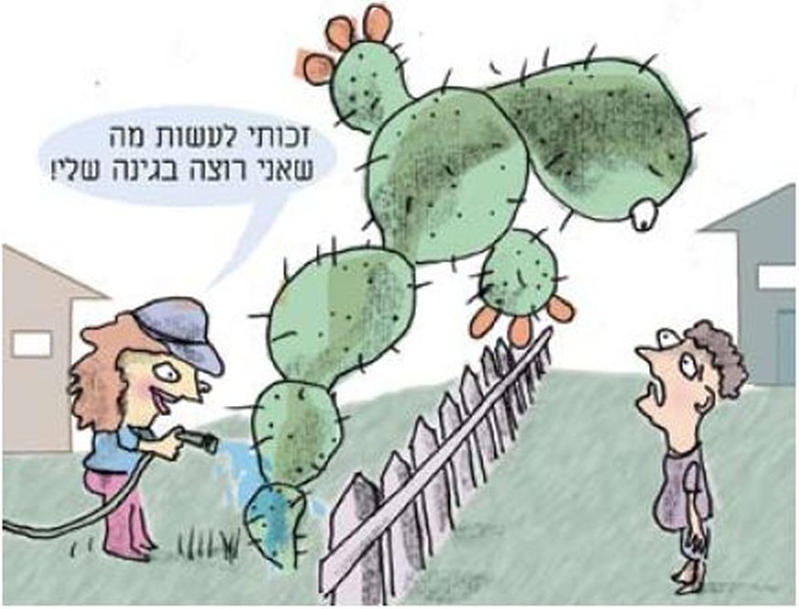 זכויות האדם